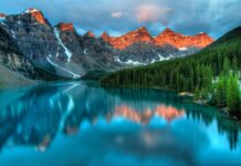 Jaki typ urody jest najrzadszy? Jaki typ urody jest najrzadszy?