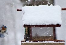 Gdzie najdłużej leci się samolotem z Polski? Gdzie najdłużej leci się samolotem z Polski?